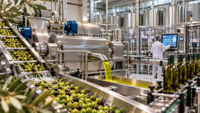 From Olive to Oil: How Modern Technology Is Transforming Olive Oil Production